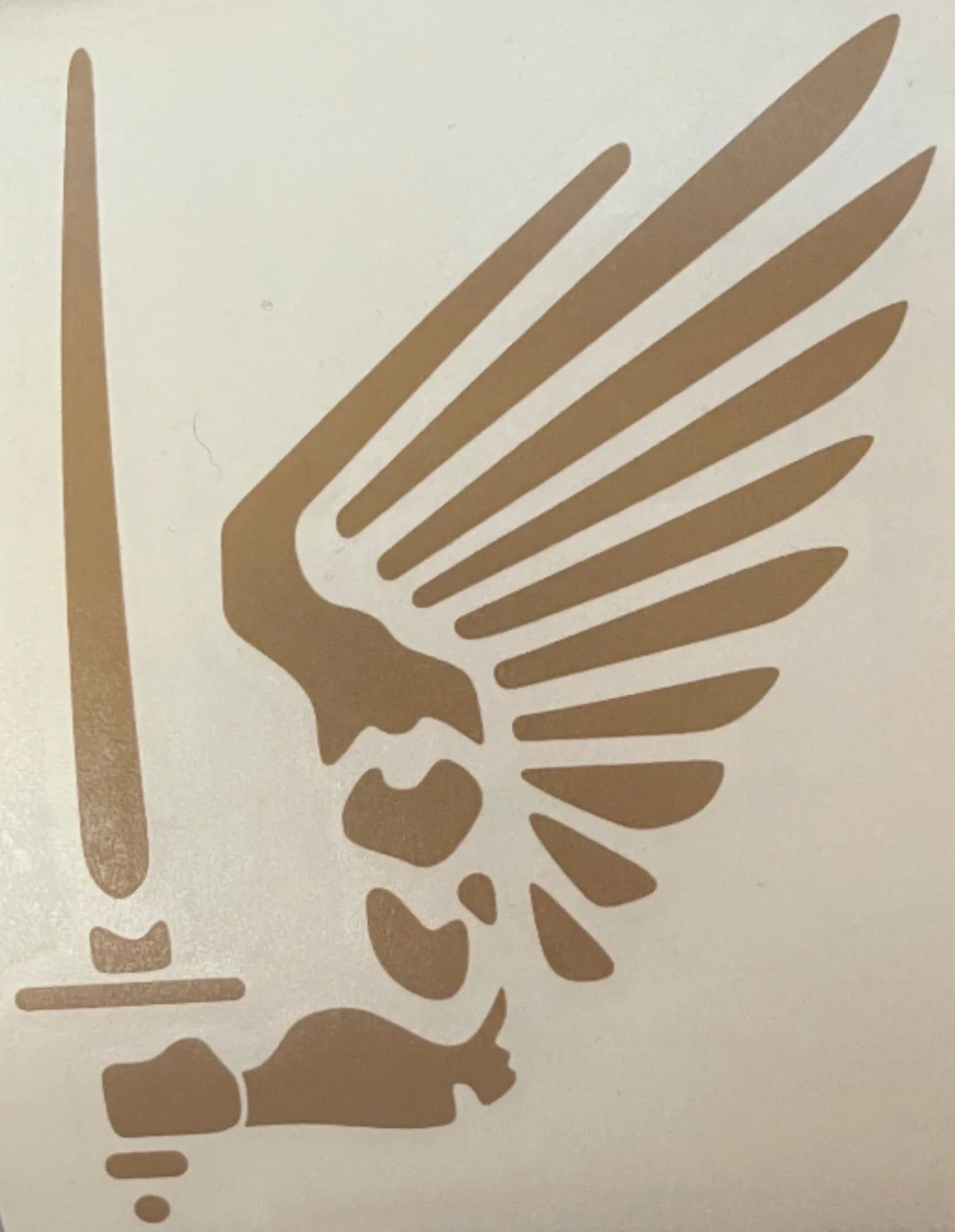 CRT One Arm Vinyl Sticker – Peace Officer Clothing